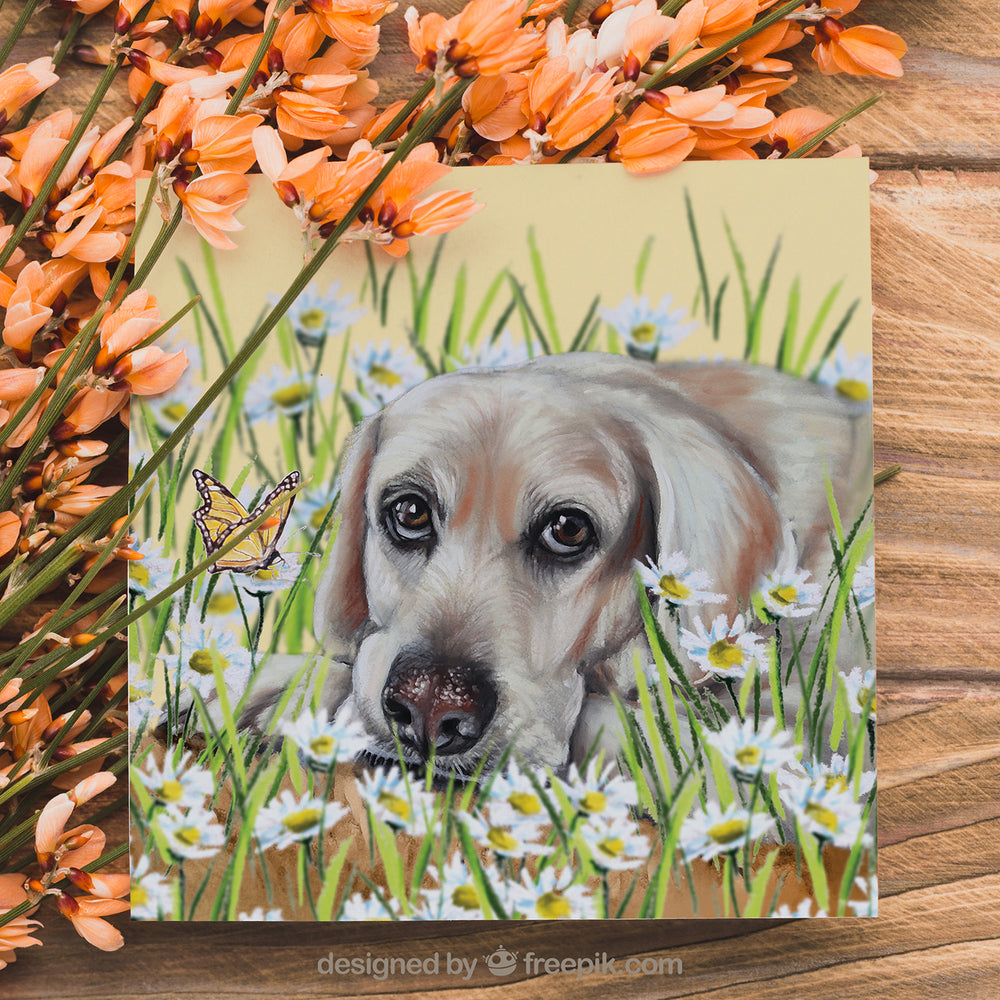 labrador greeting card