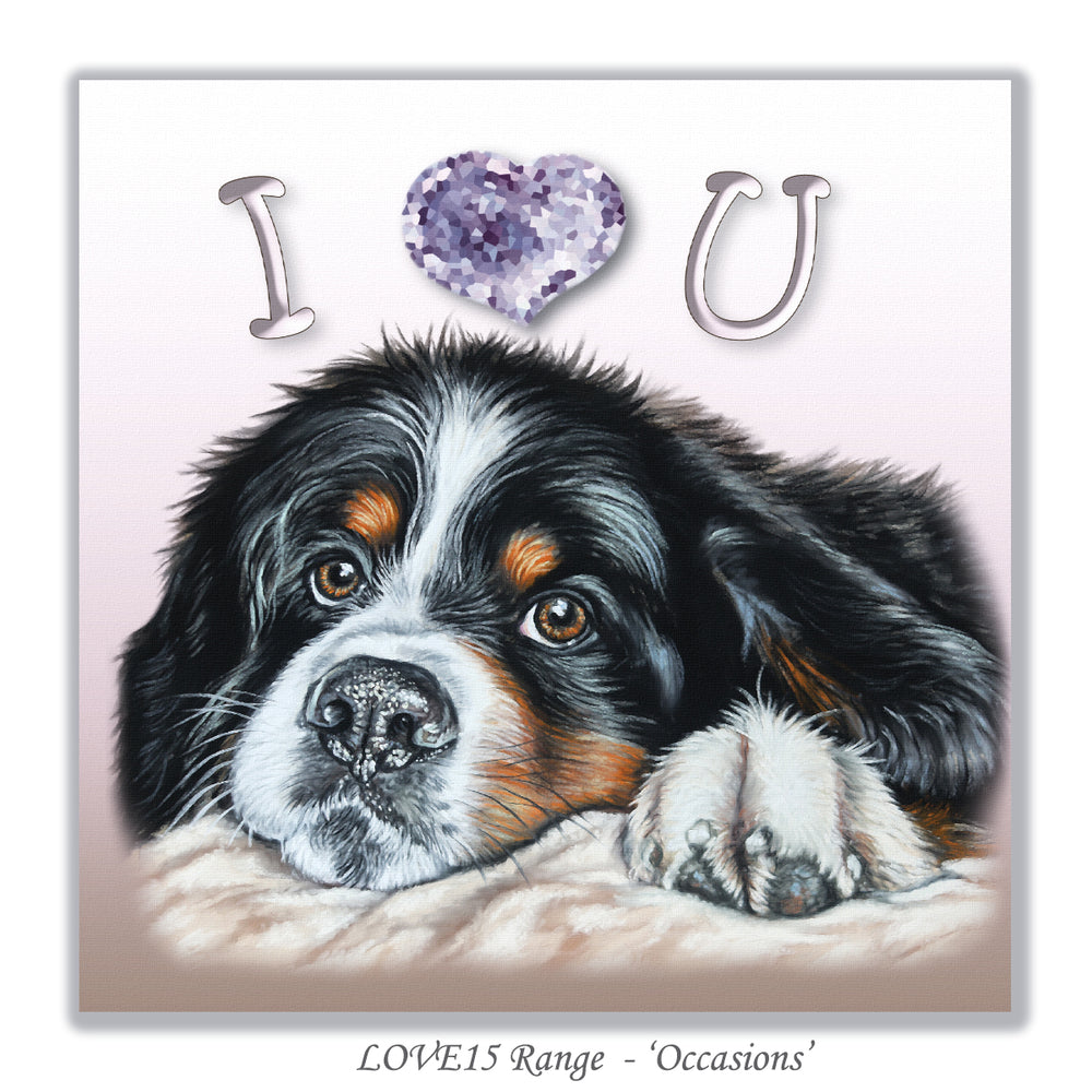 Bernese puppy card