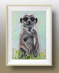 meerkat wallart print