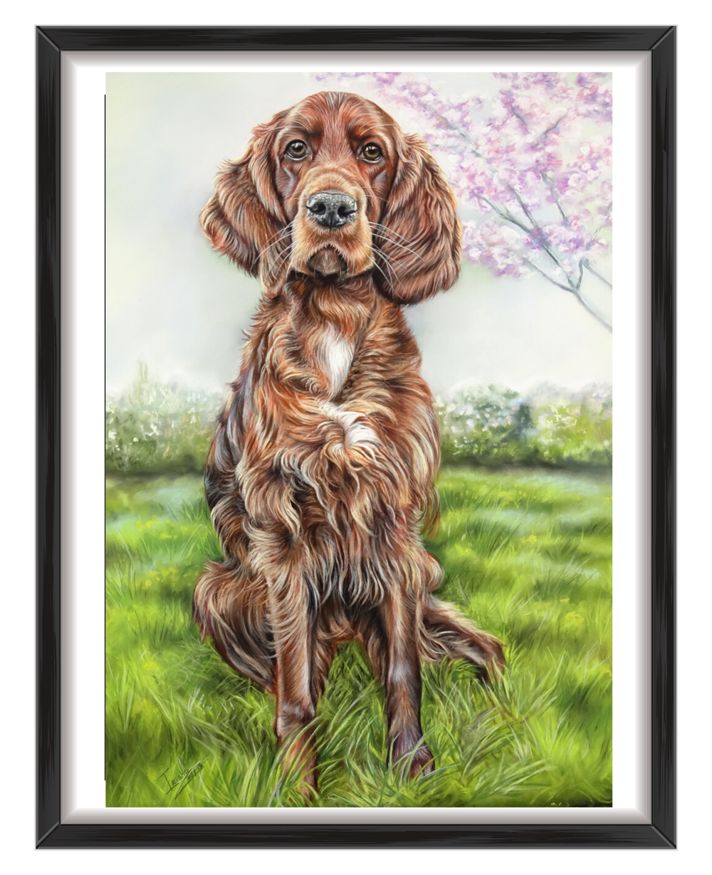 professional pet portraits uk