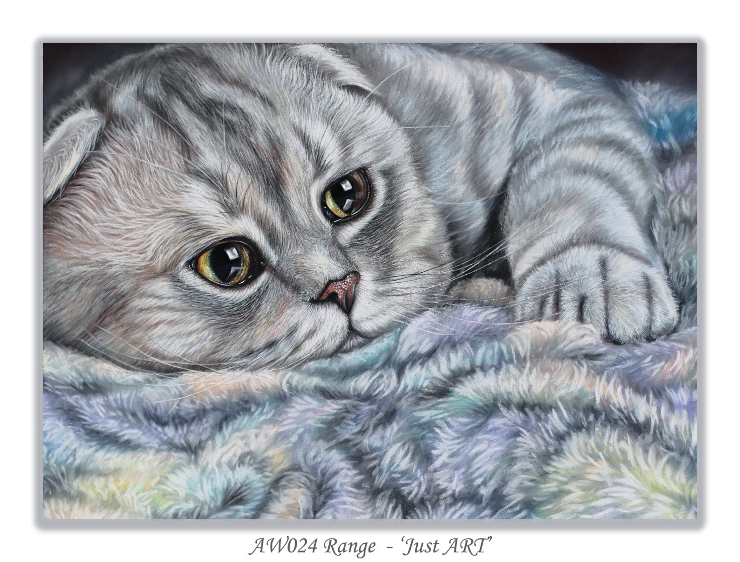 scottish fold birthday card
