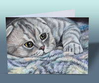 scottish fold birthday card