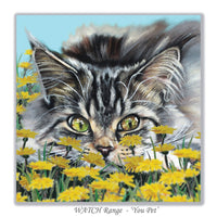birthday card with siberian cat