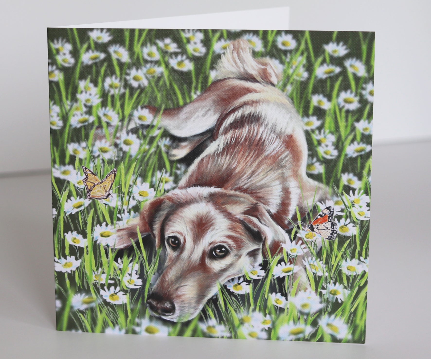 Cute Dog Greeting Card