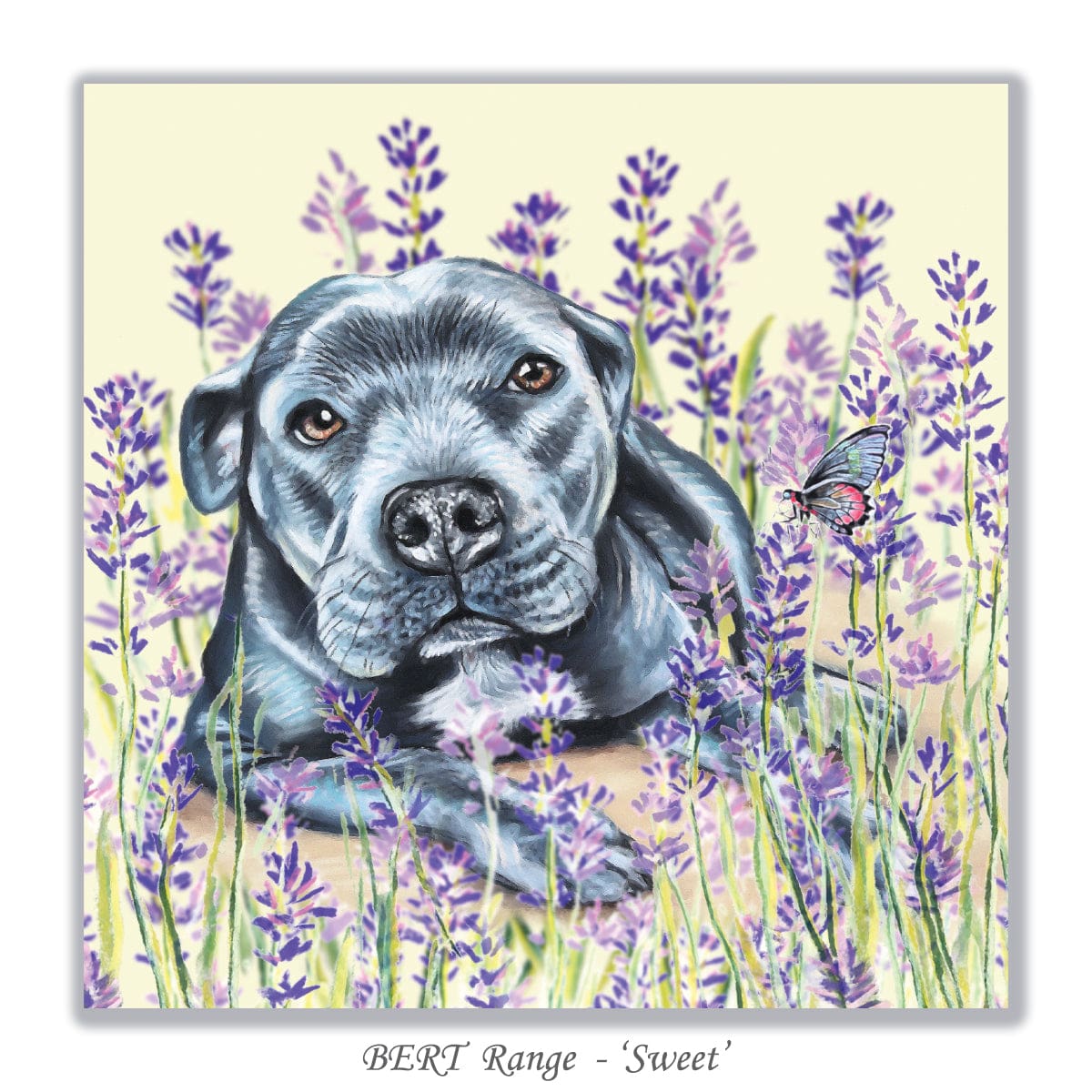 staffy dog greeting card resting on the lavender field with butterfly by Irisha 