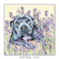 staffy dog greeting card resting on the lavender field with butterfly by Irisha 