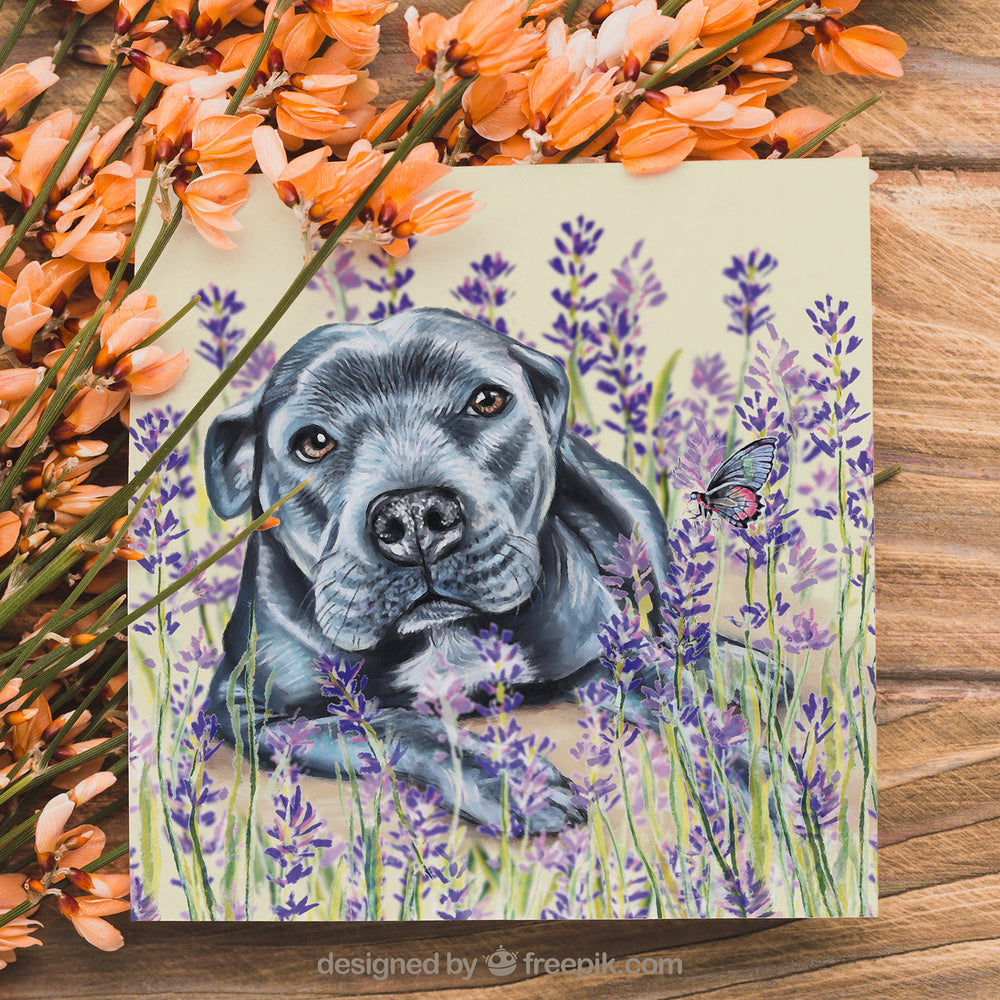 staffy card