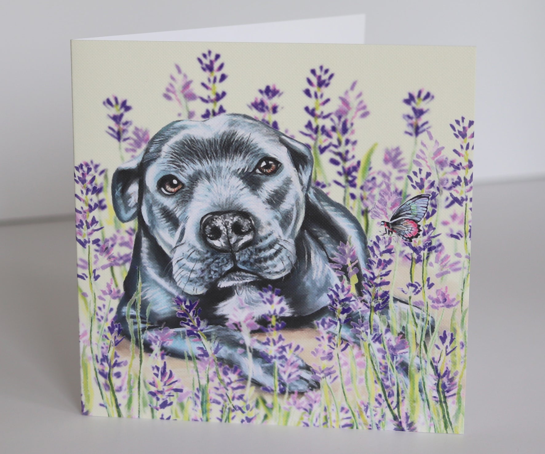 Staffy Greeting Card