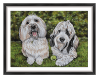dog portraits of tibetan terrier uk