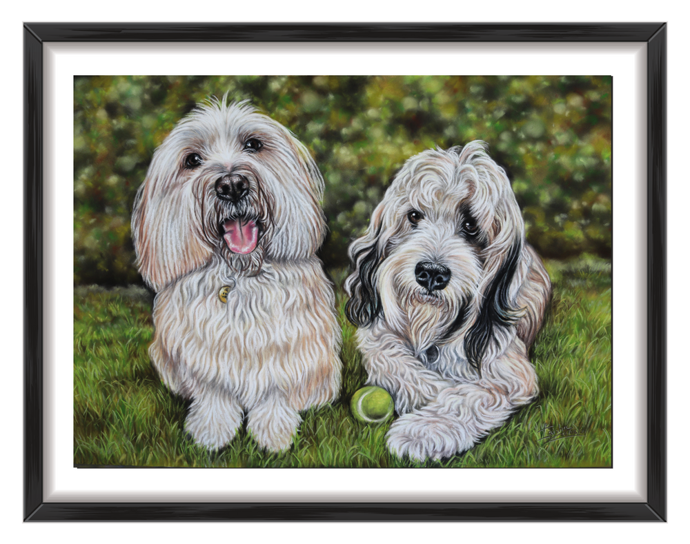 pet portraits uk