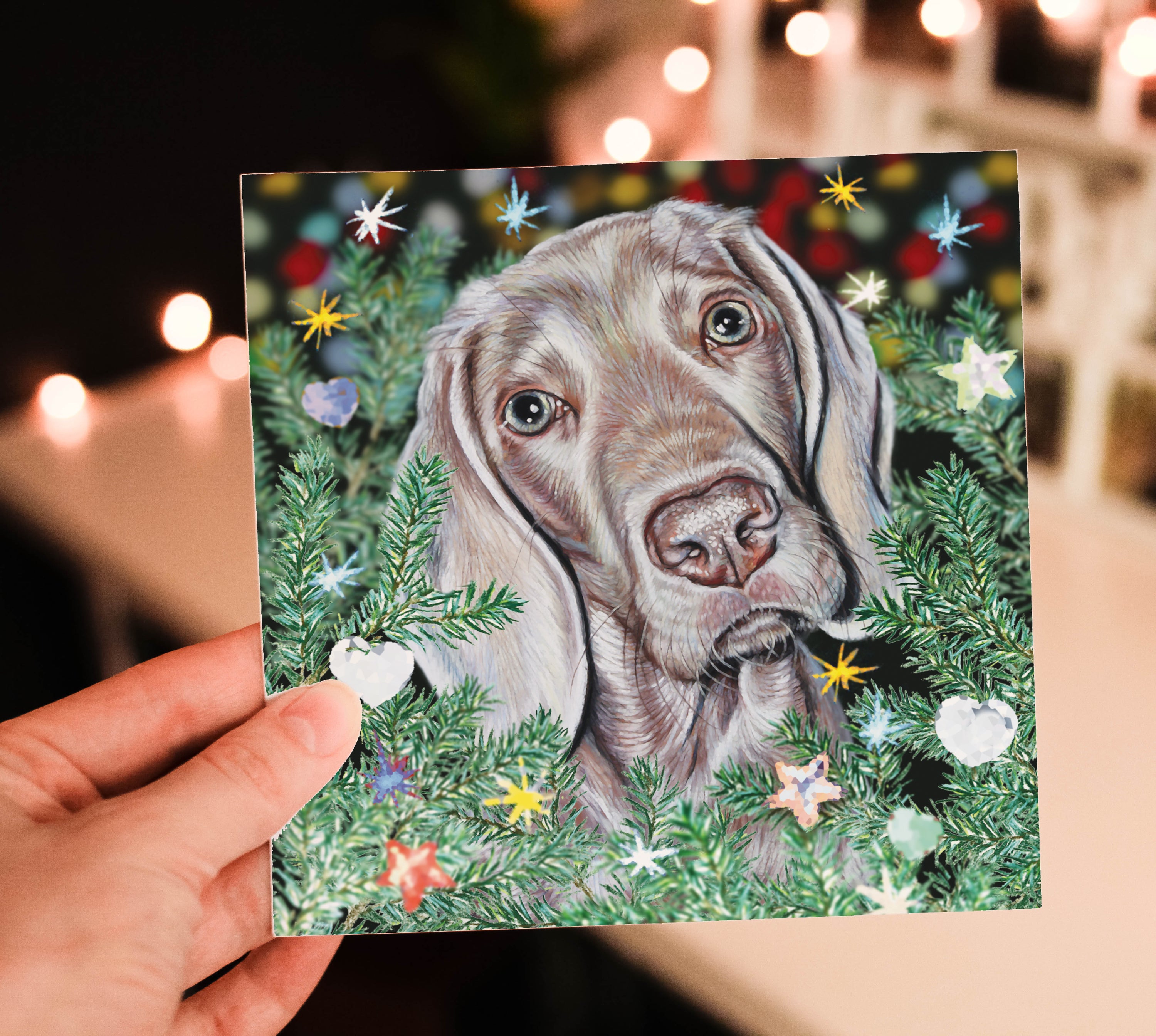 Weimaraner Christmas card