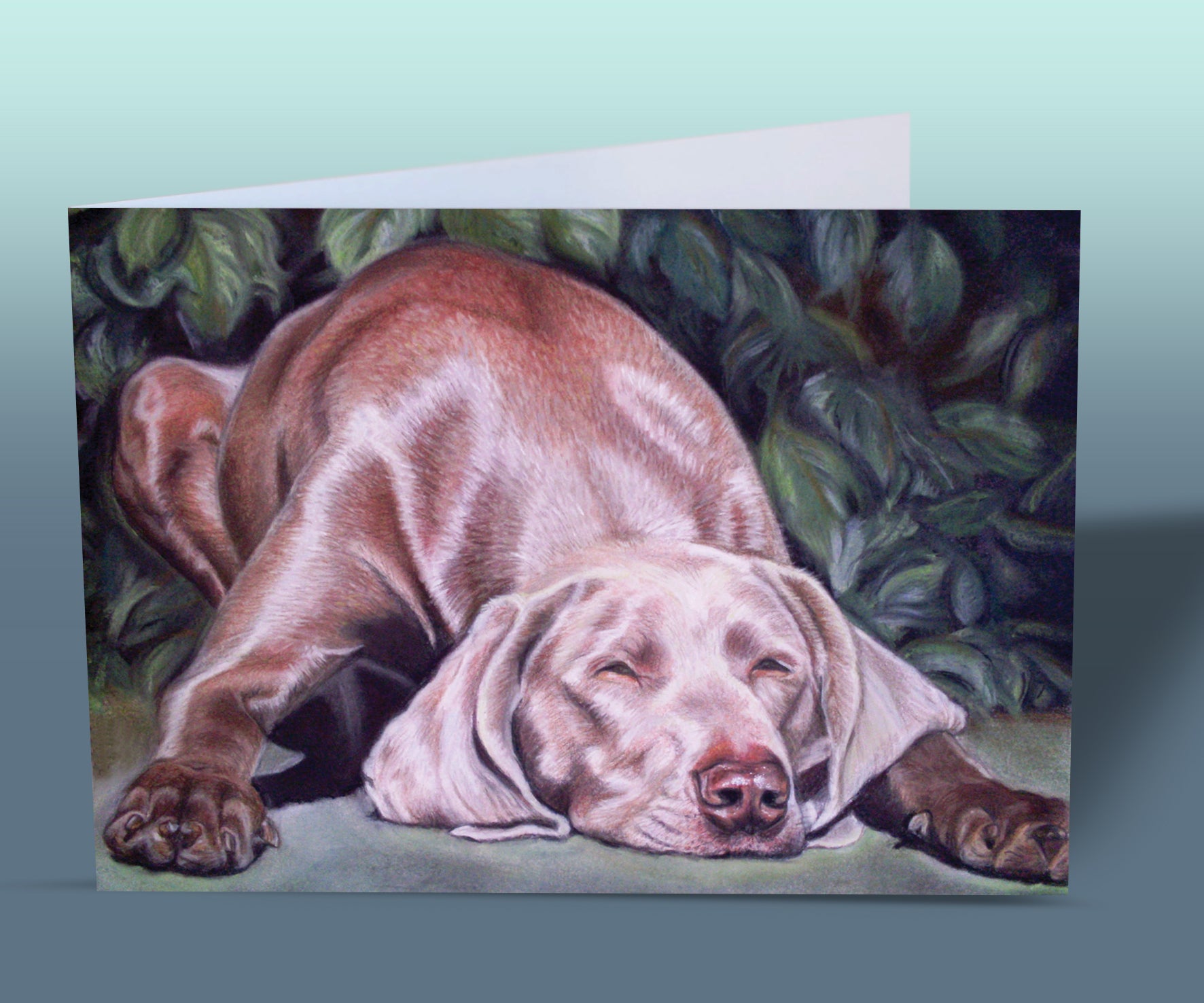 weimaraner card