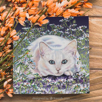 greeting card cat