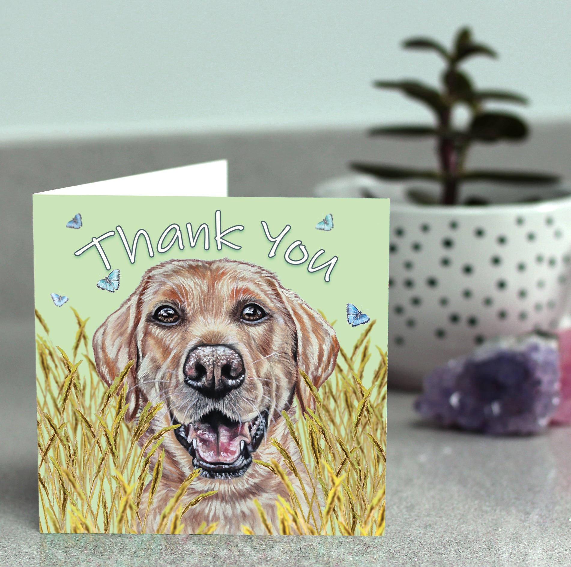 thank you card dog