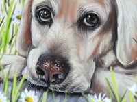 yellow labrador retriever artwork